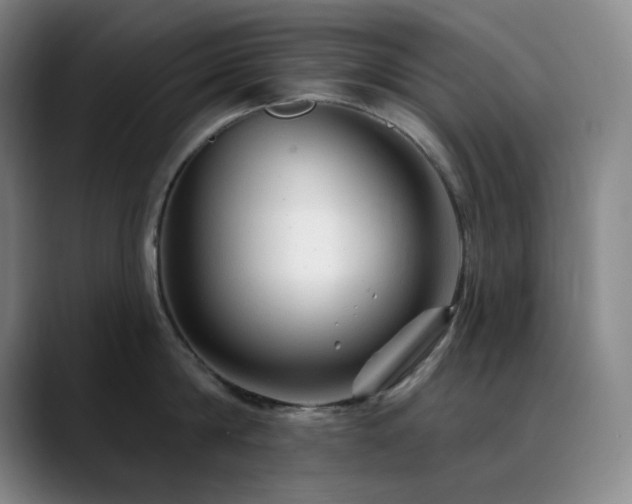 X0000090480814200707131315