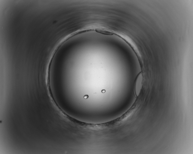 X0000090480815200707131315