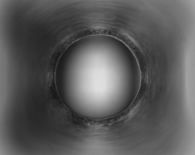 X0000090480821200707131314