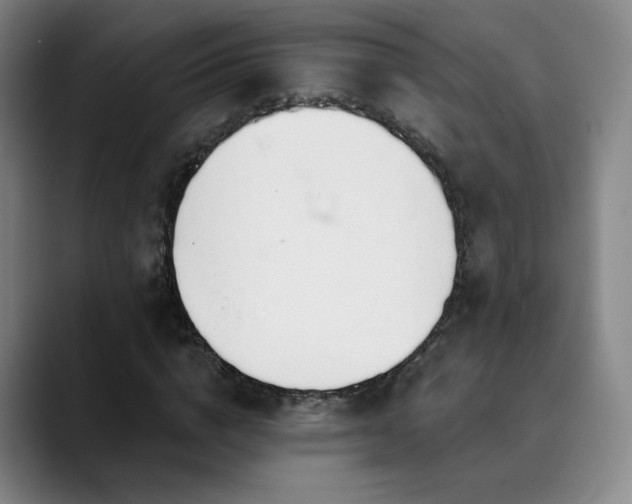 X0000090480824200707131314