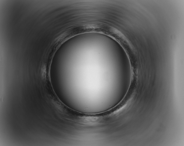 X0000090480825200707131314