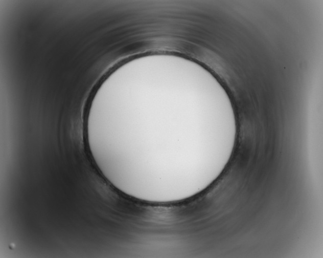 X0000090480836200707131314