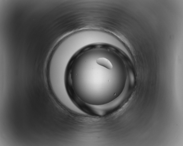 X0000090480838200707131314