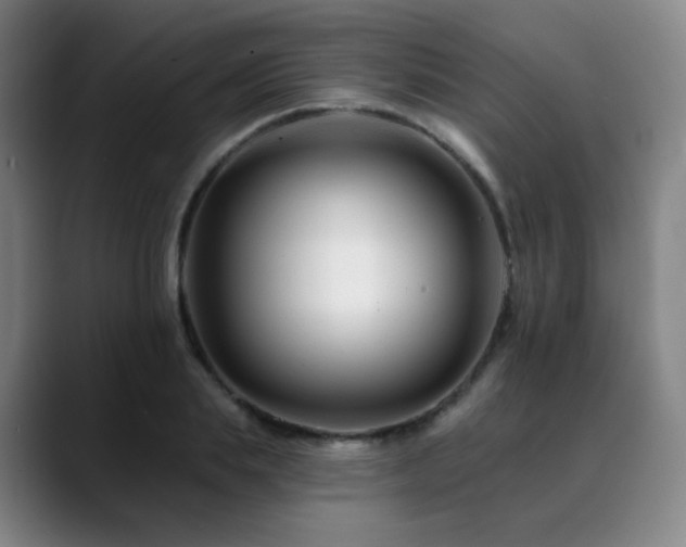 X0000090480839200707131314