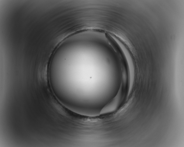 X0000090480842200707131314
