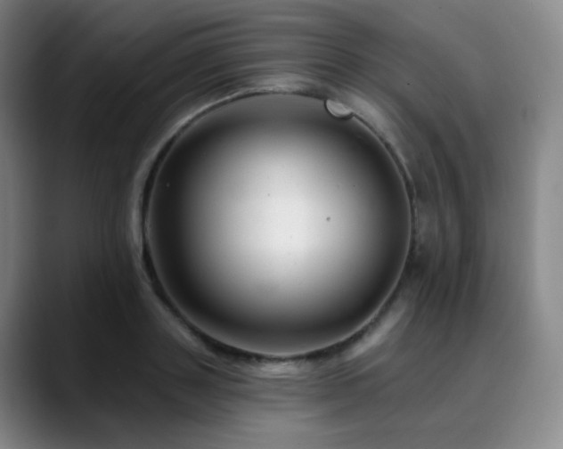 X0000090480843200707131314