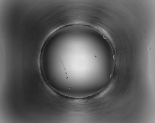 X0000090480847200707131315
