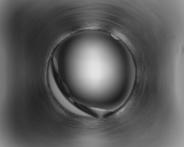 X0000090480850200707131315