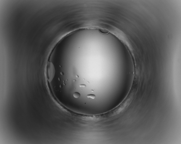 X0000090480855200707131315
