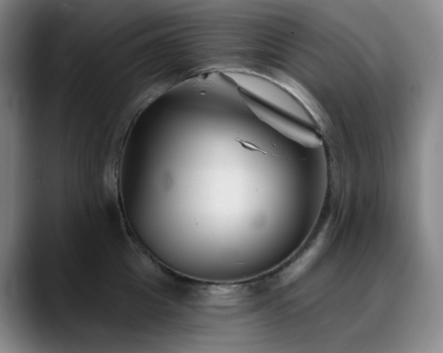 X0000090480857200707131315