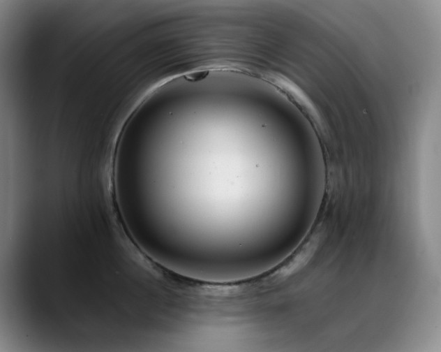 X0000090480860200707131315