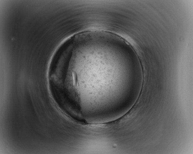 X0000090480864200707131315