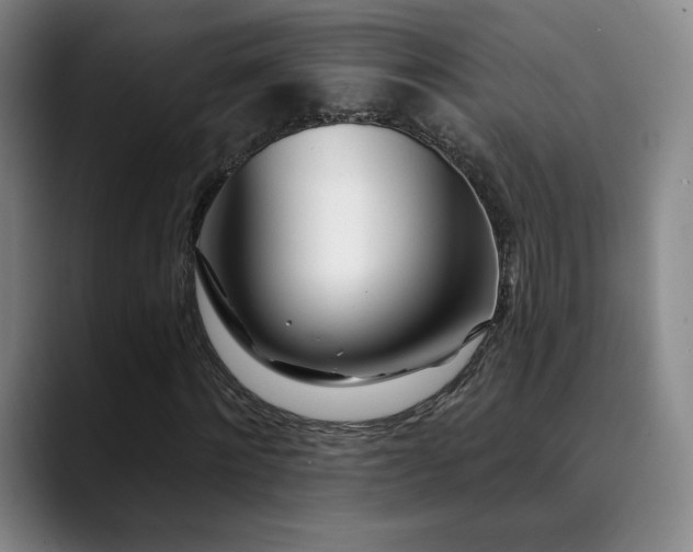 X0000090480868200707131314