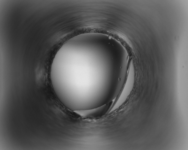 X0000090480872200707131314