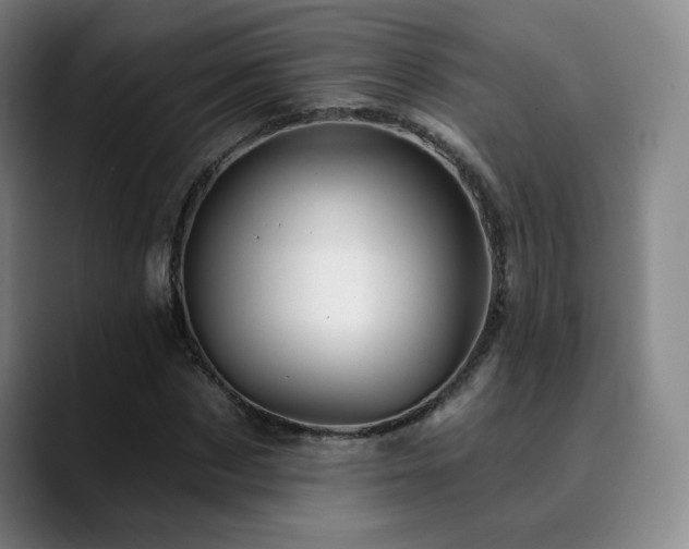 X0000090480873200707131314