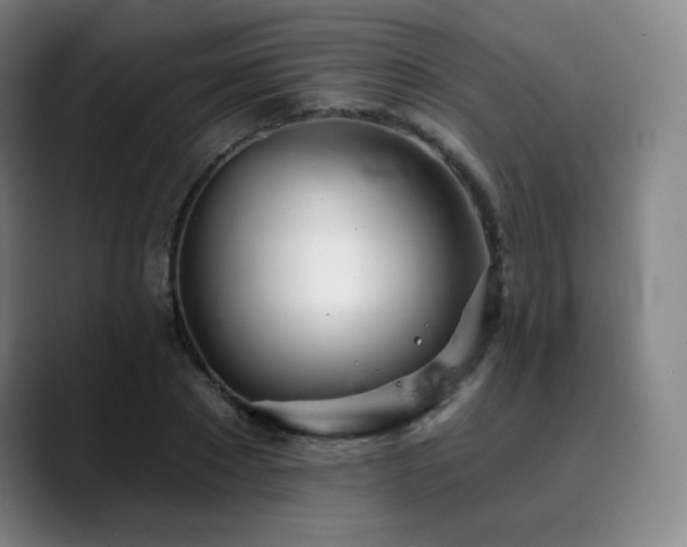 X0000090480881200707131314