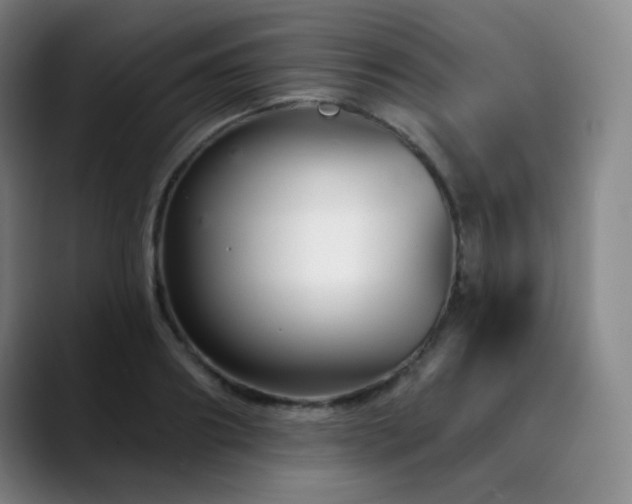 X0000090480890200707131314