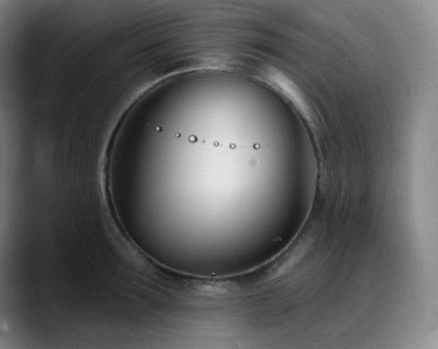X0000090480899200707131314