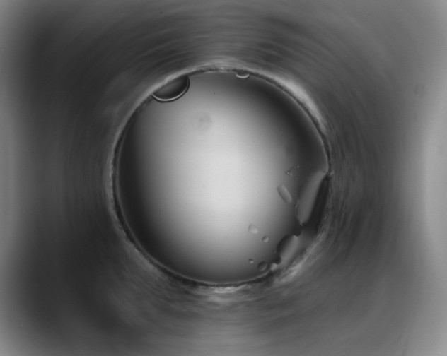 X0000090480903200707131314