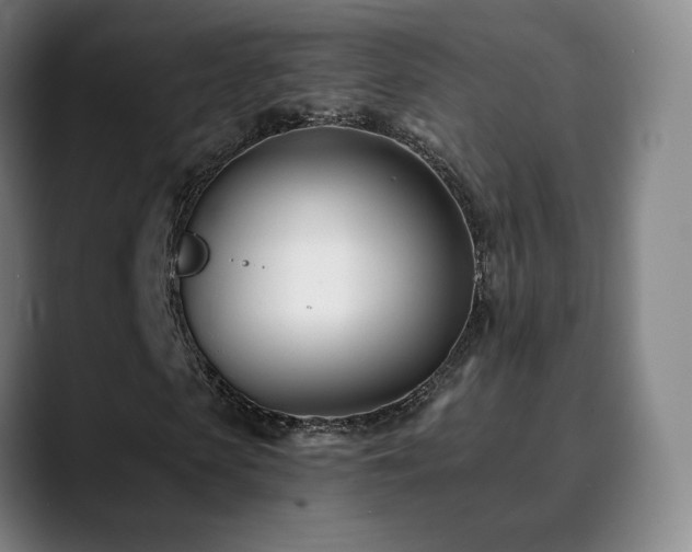 X0000090480913200707131313