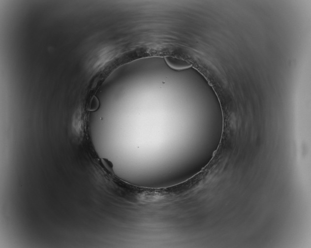 X0000090480914200707131313