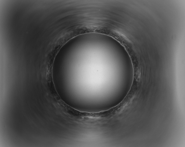 X0000090480917200707131313
