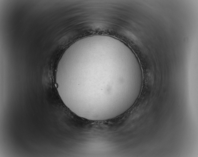 X0000090480918200707131313