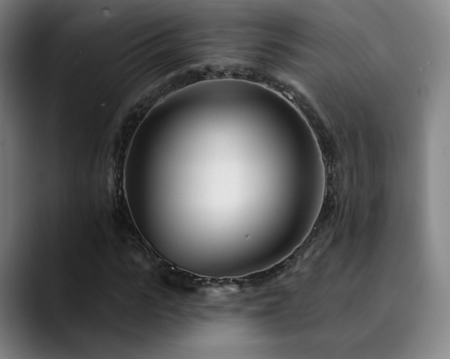 X0000090480919200707131313