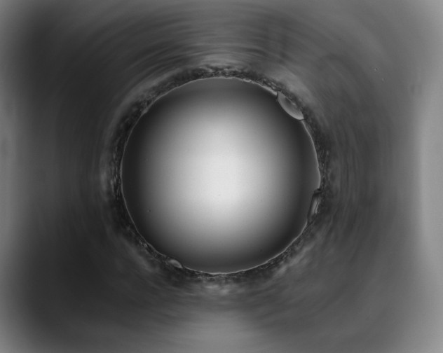 X0000090480920200707131313