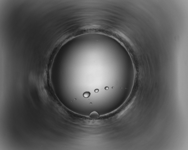 X0000090480921200707131313