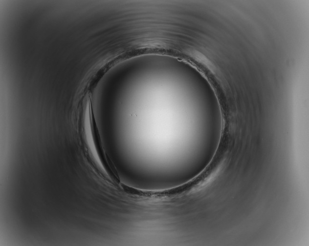 X0000090480922200707131313