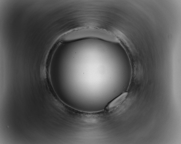 X0000090480924200707131313