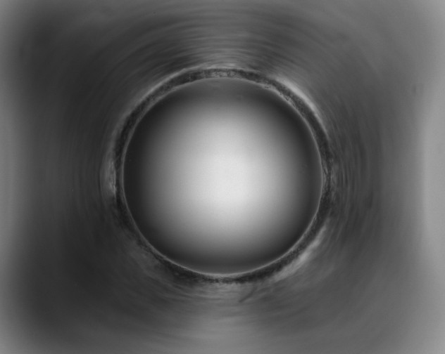 X0000090480925200707131313