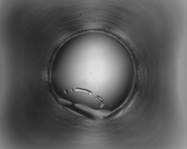 X0000090480929200707131313