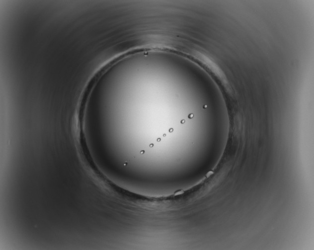 X0000090480936200707131313