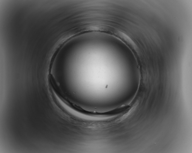 X0000090480938200707131313