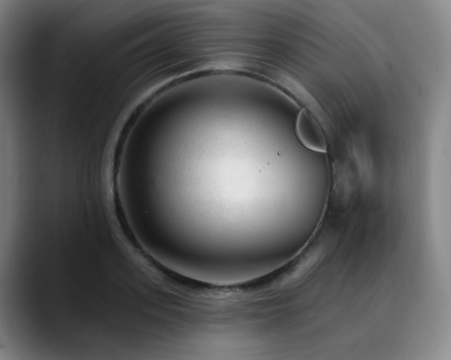 X0000090480939200707131313