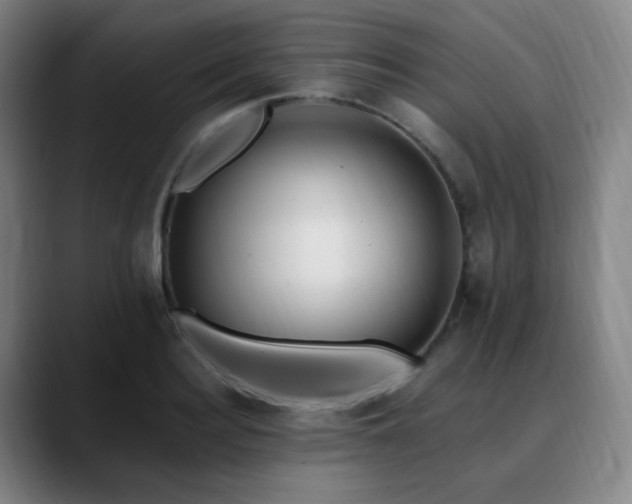 X0000090480940200707131313