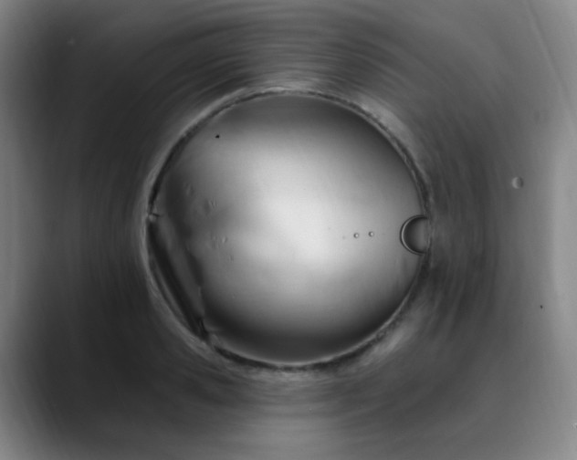 X0000090480941200707131313