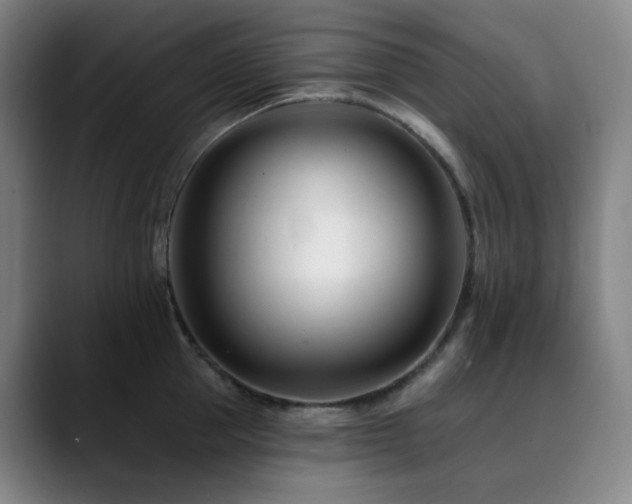 X0000090480953200707131314