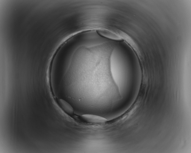 X0000090480958200707131314