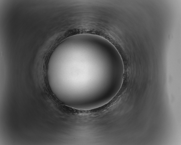 X0000090480961200707131313