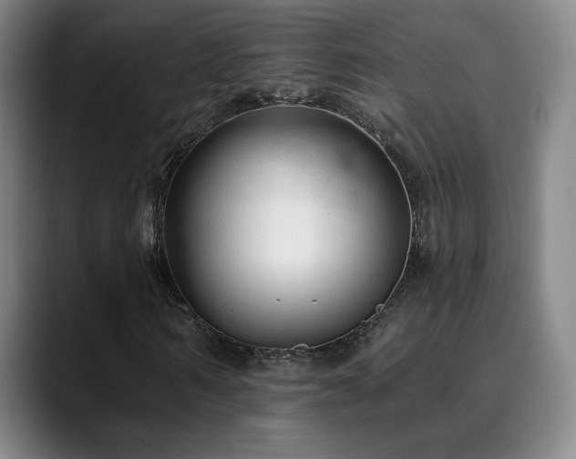 X0000090480962200707131313