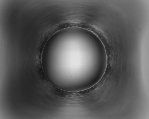 X0000090480966200707131313