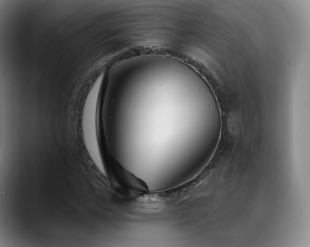 X0000090480968200707131313