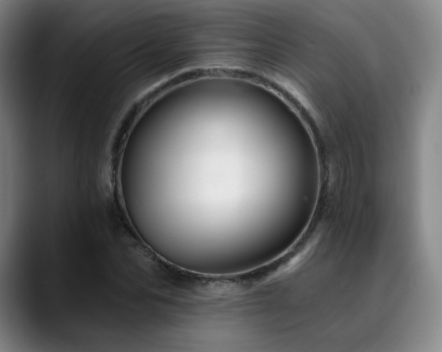 X0000090480974200707131313