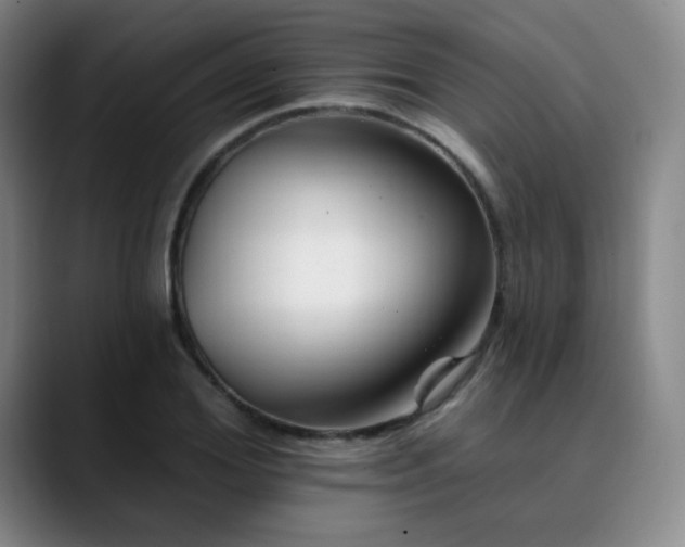 X0000090480980200707131313