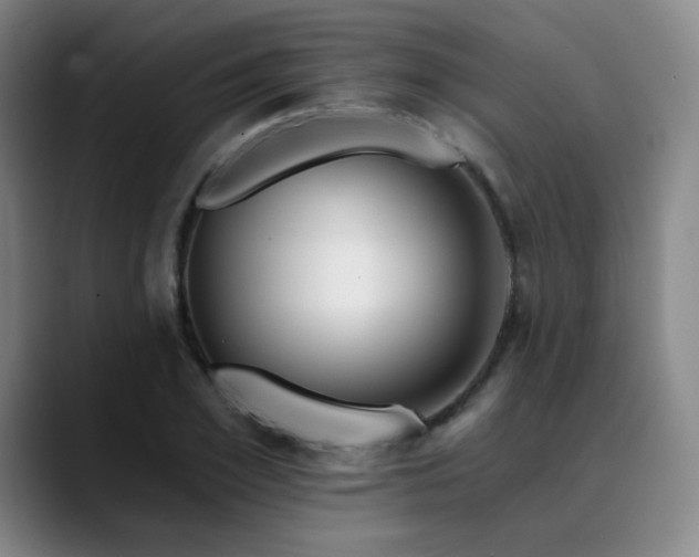 X0000090480981200707131313
