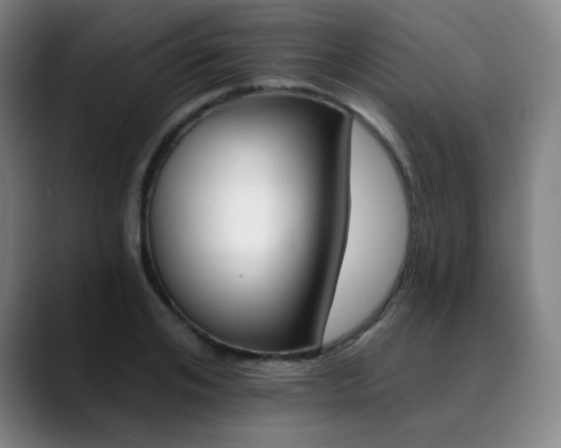 X0000090480984200707131313