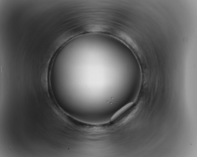 X0000090480986200707131313